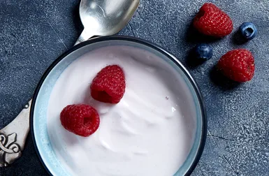 蛋白含量高达 18% ——让您的冰岛酸奶与众不同