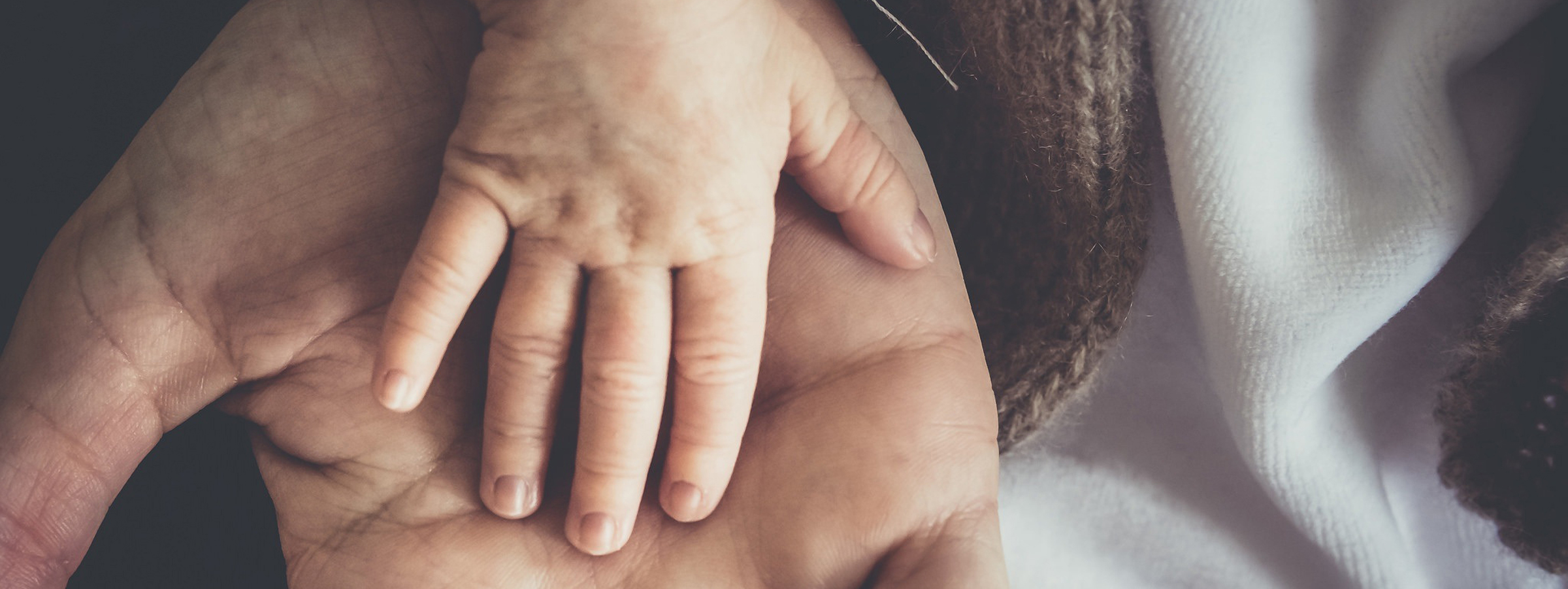 质量和食品安全