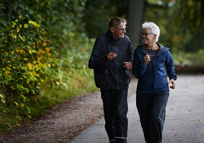 保持正常蛋白质摄入量令人耳目一新的机会