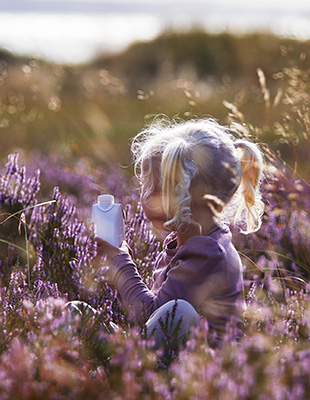 可持续发展的机会