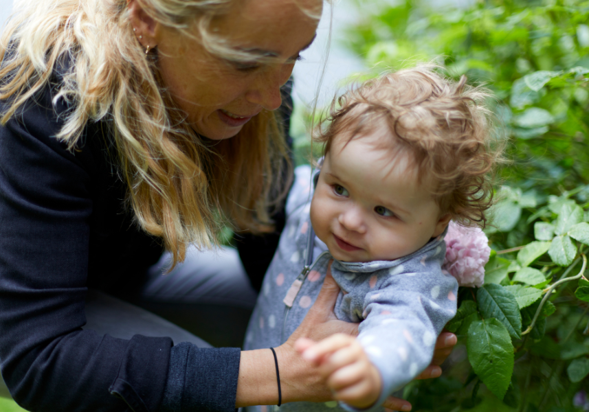 浓缩乳清蛋白和分离乳清蛋白