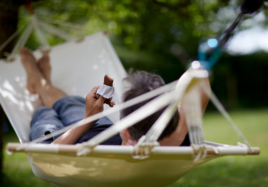 利用Lacprodan® SoftBar打造高蛋白棒