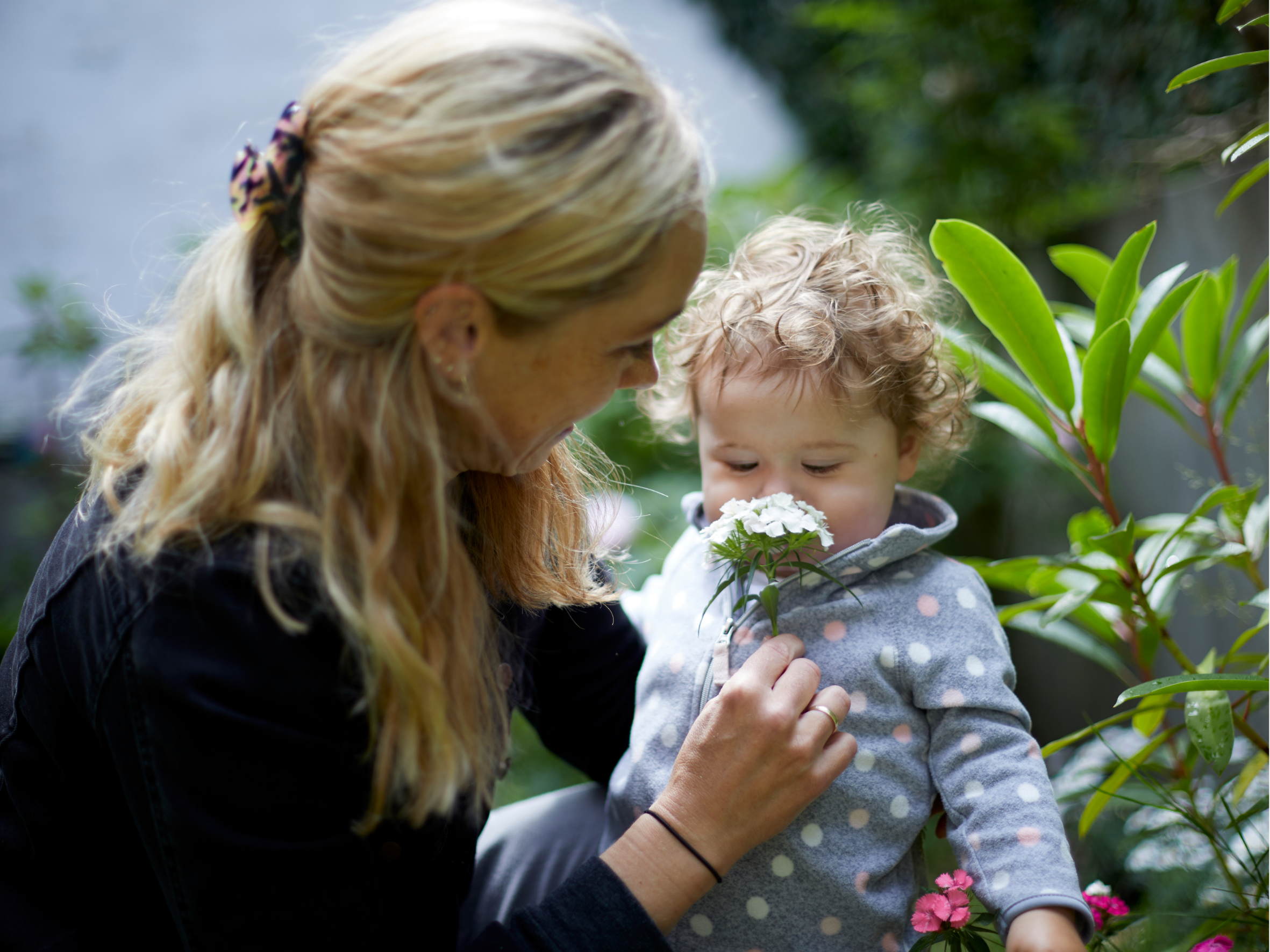 阿拉食品原料全球调研揭示：妈妈选购婴幼儿配方奶粉两大关键因素