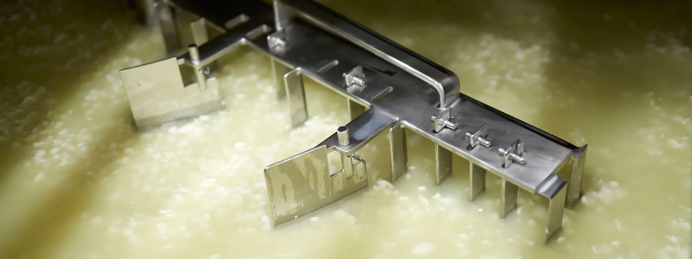 World-class whey-based ingredients begins with the quality of the raw materials