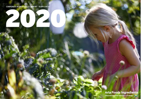 我们的企业责任报告 2020（英文）