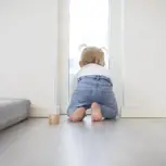 终身营养