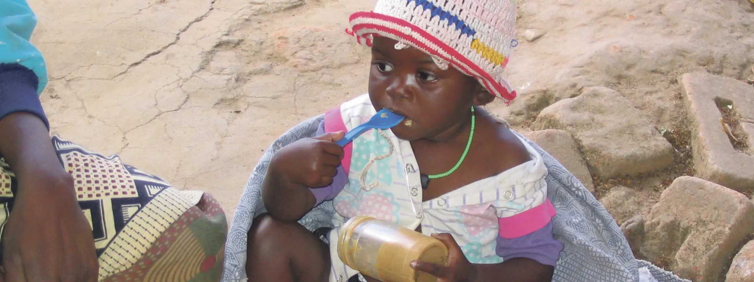 Aim to establish production of affordable foods based on local raw materials
