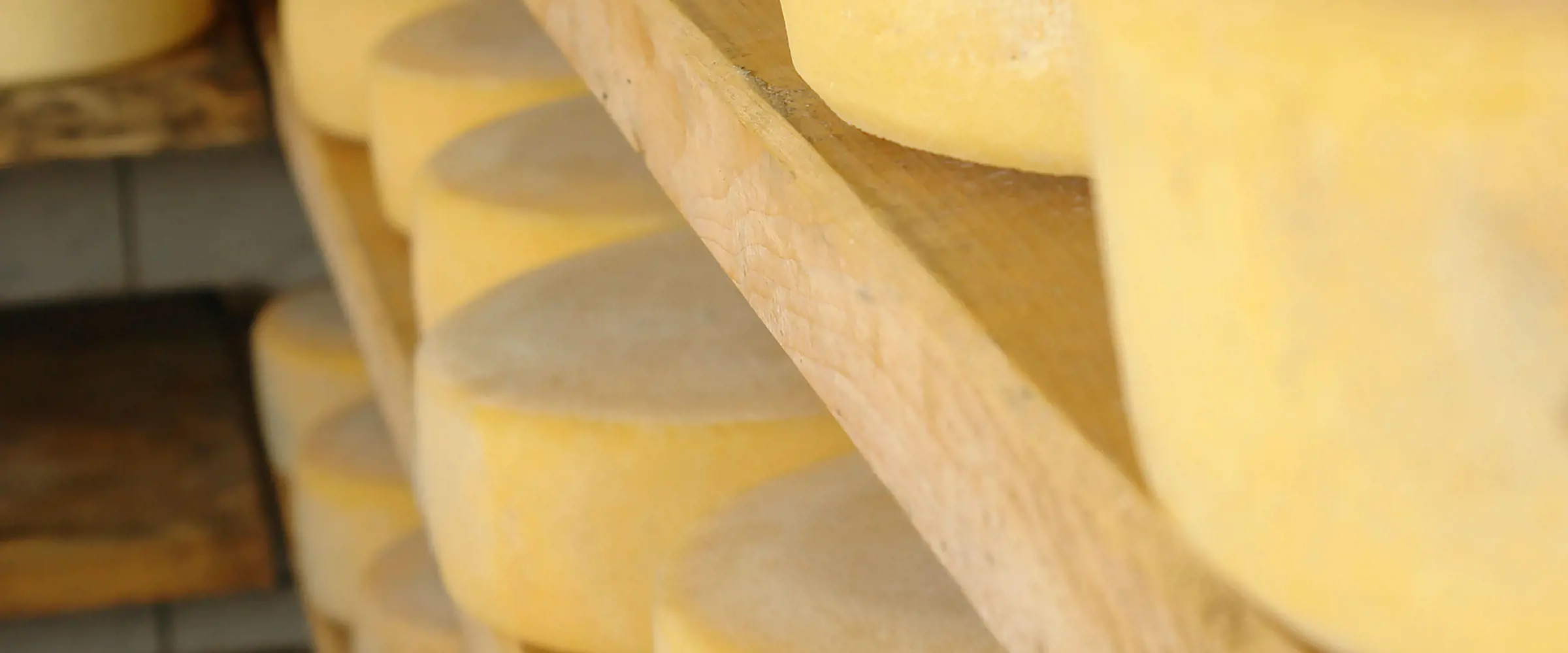Great whey-based solutions for fat replacement in cheese