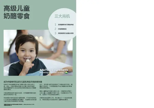 高级儿童 奶酪零食宣传手册