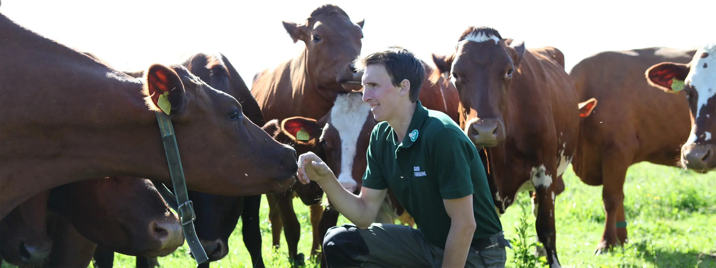 Farmer securing high quality raw materials
